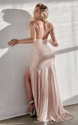 Cinderella Divine C29 Opal-Blush