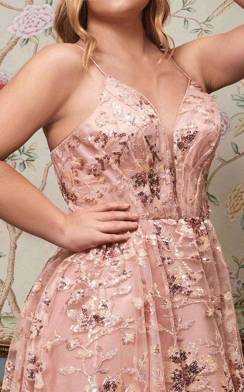 Cinderella Divine CB073C Blush