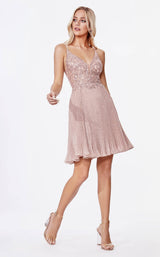 Cinderella Divine CD0163S Dusty-Rose