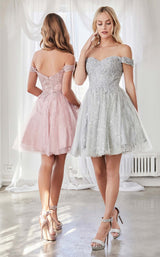 Cinderella Divine CD0167 Silver