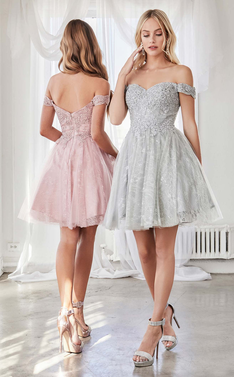 Cinderella Divine CD0167 Silver