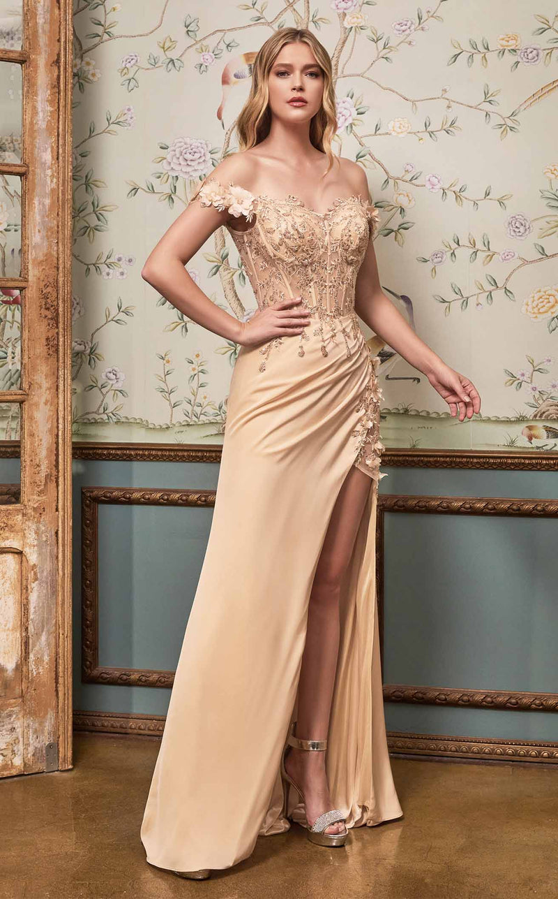 cinderella divine cd0186 - applique corset prom dress Fitted 3D Floral Corset Gown by Cinderella Divine CD0186