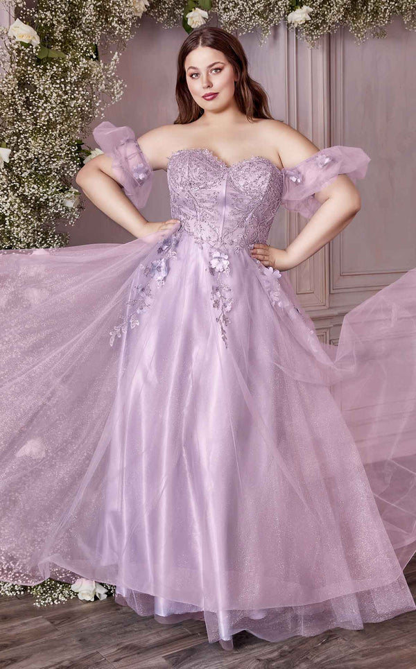 Plus sized on sale ball gowns