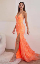 LaDivine CD0209 Orange