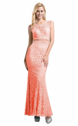 Cinderella Divine CF067L Coral