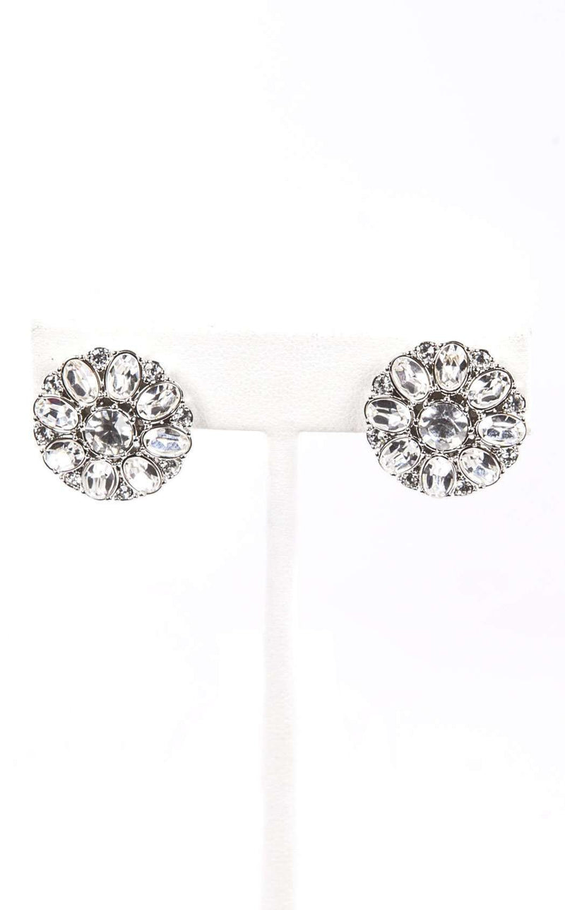 Carolee CLC00029S100