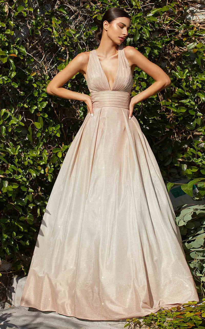 Cinderella Divine CW222 Champagne/Silver