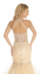 Jora Collection D20050