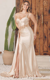 Nox Anabel E1239 Dress Champagne