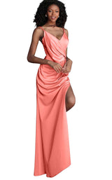 JVN JVN61571 Coral