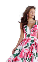 JVN JVN67696 Print