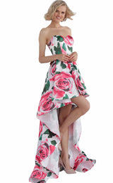 JVN JVN67698 Print