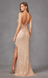 Juliet 273 Champagne
