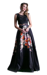 Cinderella Divine KC1813 Print