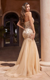 LaDivine CDS482 Champagne