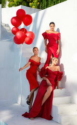 Terani 241C2330 Red