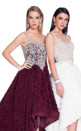 Terani 1811P5796 Wine