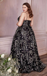 Cinderella Divine CB073C Black