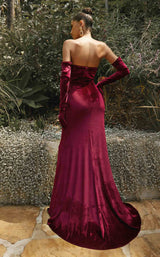 Cinderella Divine CH176 Burgundy