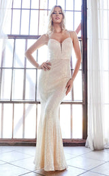 Cinderella Divine CH209 Opal-Champagne