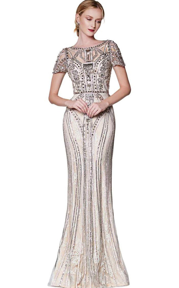 Cinderella Divine CK865 Silver