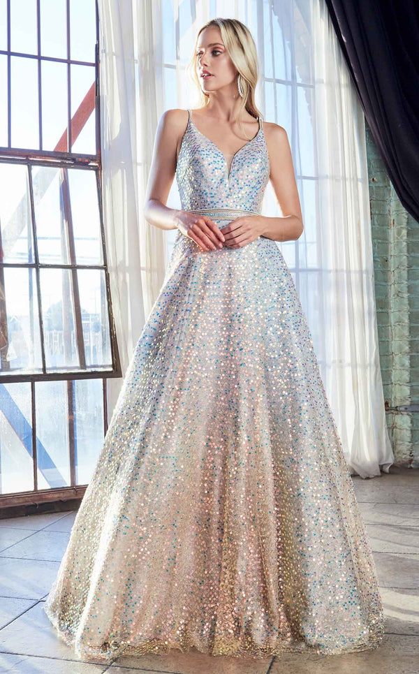 Cinderella Divine CW148 Opal-Silver
