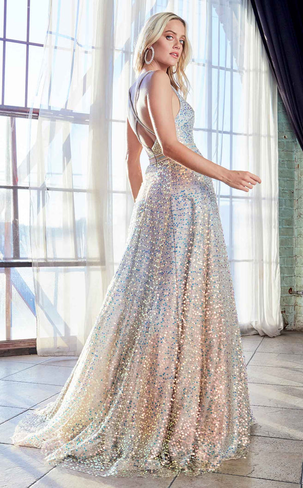 Cinderella Divine CW148 Opal-Silver