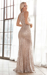 Cinderella Divine HT074 Champagne/Gold