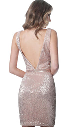 JVN JVN66030 Champagne